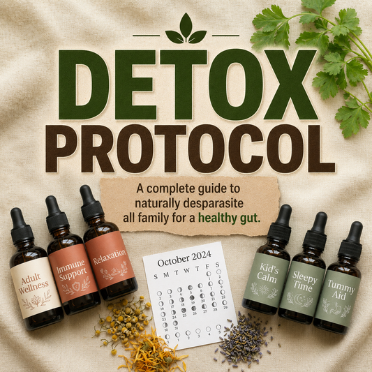 Protocolos Naturais de Desintoxicação — Pacote Família (Guia Digital)